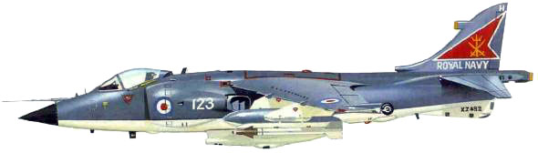 Early Sea Harrier 2-tone scheme